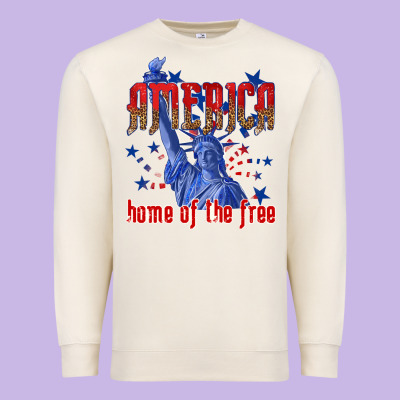 Premium Sweatshirt America home of the free