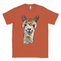 Copper alpaca Classic Tee - BarkalooDesign