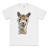 White alpaca Classic Tee - BarkalooDesign