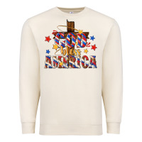 Sandshell god bless america Premium Sweatshirt - texasbilliewilder