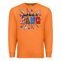 Carrot just here to bang Premium Sweatshirt - texasbilliewilder