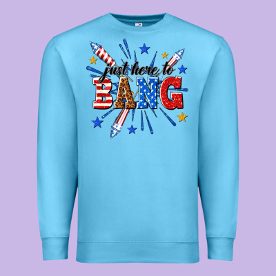 Premium Sweatshirt just here to bang