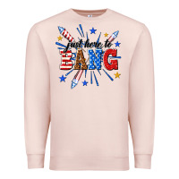 Pale Pink just here to bang Premium Sweatshirt - texasbilliewilder