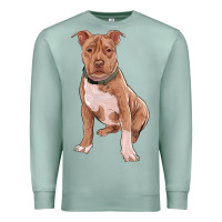 Seafoam brown pitbull Premium Sweatshirt - RanaPortraitStore