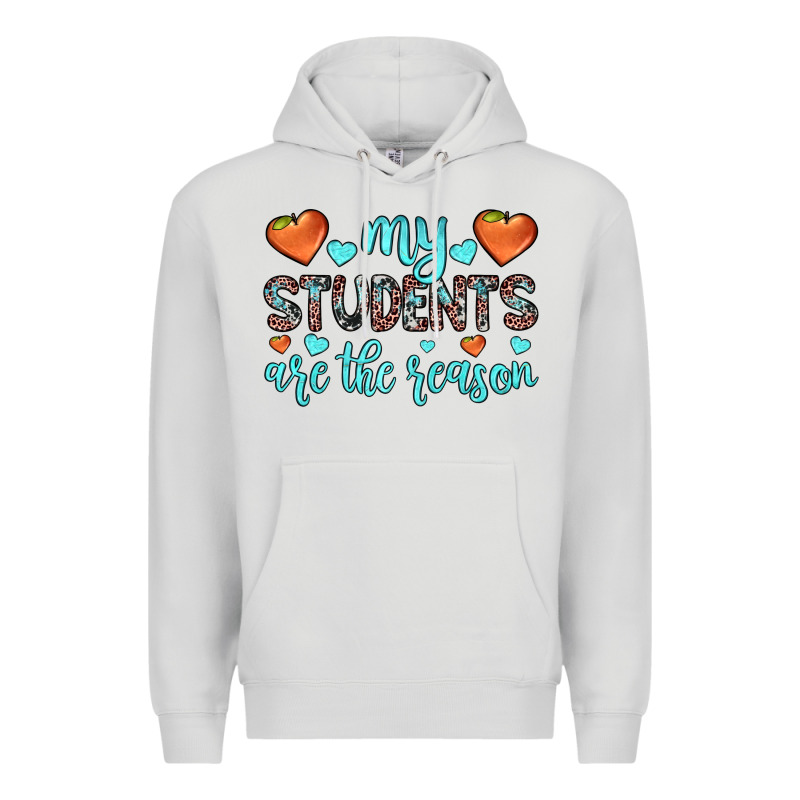 My Students Are The Reason Premium Hoodie by JahusDesignShop | Teevron