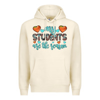 Tofu my students are the reason Premium Hoodie - JahusDesignShop