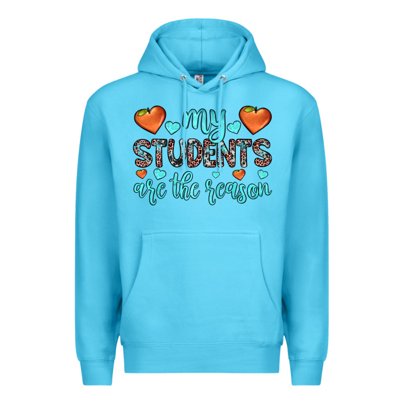 My Students Are The Reason Premium Hoodie by JahusDesignShop | Teevron