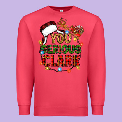 Premium Sweatshirt you serious clark
