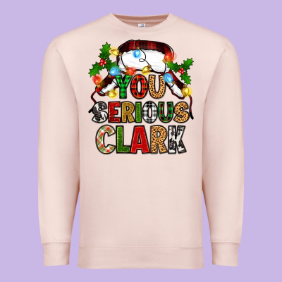 Premium Sweatshirt you serious clark