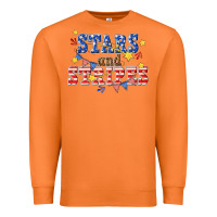 Carrot stars and striper billie wilder Premium Sweatshirt - texasbilliewilder