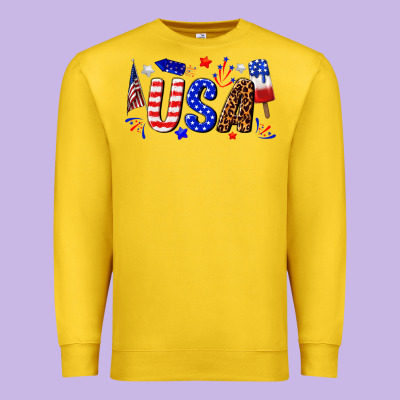 Premium Sweatshirt usa 4th of july