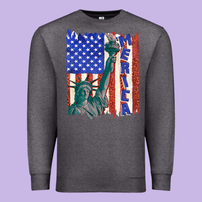 Premium Sweatshirt usa flag with statue of liberty