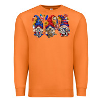 Carrot usa with gnome billie wilder Premium Sweatshirt - texasbilliewilder