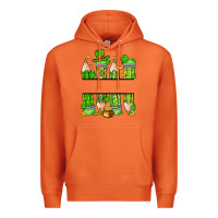 Carrot personalized st. patrick's day pencils Premium Hoodie - Artiststas