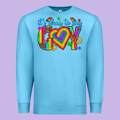 Premium Sweatshirt its okay to say gay