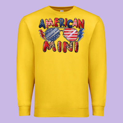 Premium Sweatshirt American mini