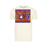Vintage Arctic american flag gnomes love star leopard glitter Vintage Tee - Artiststas