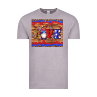 Vintage Zinc american flag gnomes love star leopard glitter Vintage Tee - Artiststas