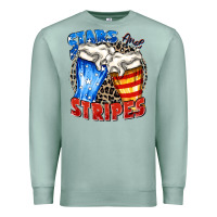 Seafoam stars and stripes beer Premium Sweatshirt - Zillion Design Studio