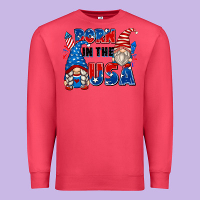 Born In The Usa Premium Sweatshirt Designed By Zillion Design Studio