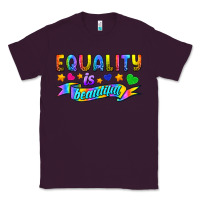 Plum Equality Is Beautiful Classic Tee - BundleAndBundleShop