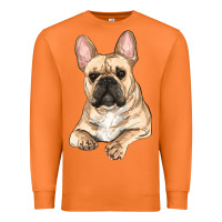Carrot French bulldog sitting Premium Sweatshirt - RanaPortraitStore