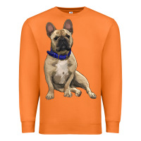 Carrot French bulldog with royal blue Premium Sweatshirt - RanaPortraitStore