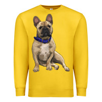Lemon French bulldog with royal blue Premium Sweatshirt - RanaPortraitStore