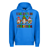 True Royal i believe in christmas Premium Hoodie - AdoDesignShop