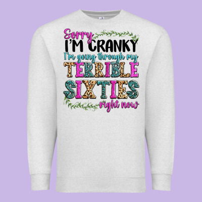 Premium Sweatshirt sorry i’m cranky i’m going through my terrible