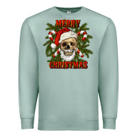 Seafoam Merry Christmas Premium Sweatshirt - RanaPortraitStore