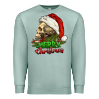 Seafoam Merry Christmas Premium Sweatshirt - RanaPortraitStore