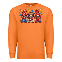 Carrot football gnome with element Premium Sweatshirt - texasbilliewilder