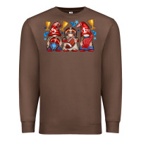Chestnut football gnome with element Premium Sweatshirt - texasbilliewilder