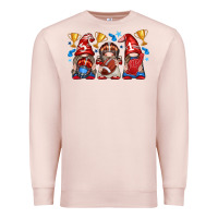 Pale Pink football gnome with element Premium Sweatshirt - texasbilliewilder