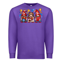 Purple football gnome with element Premium Sweatshirt - texasbilliewilder