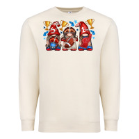 Sandshell football gnome with element Premium Sweatshirt - texasbilliewilder