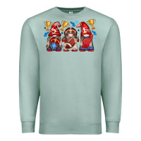 Seafoam football gnome with element Premium Sweatshirt - texasbilliewilder