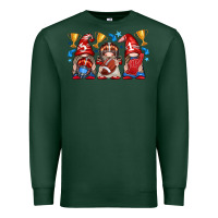 Sports Green football gnome with element Premium Sweatshirt - texasbilliewilder