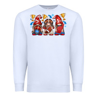 White football gnome with element Premium Sweatshirt - texasbilliewilder