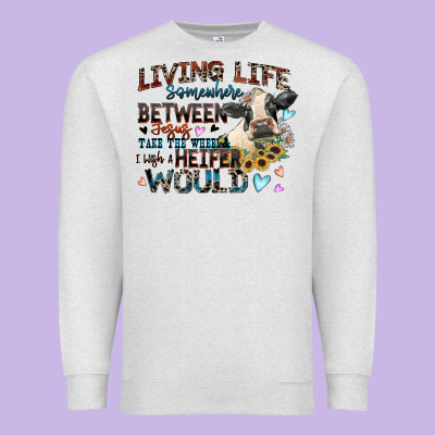 Living Life Somewhere Between Jesus Take The Wheel Premium Sweatshirt Designed By Zillion Design Studio