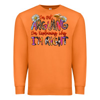 I'm Not Arguing I'm Explaining Why I'm Right Premium Sweatshirt | Teevron