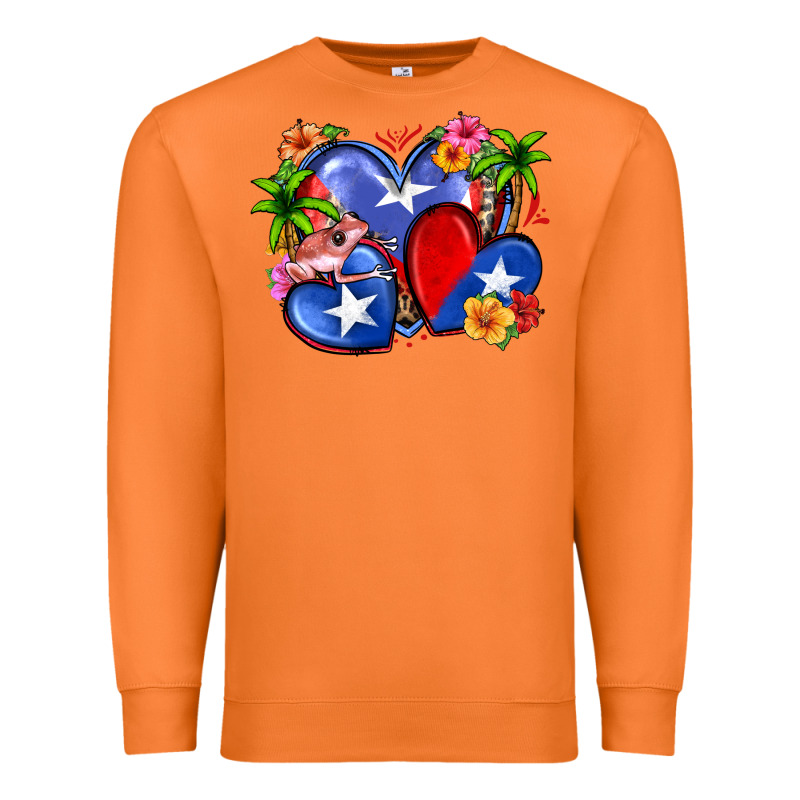 Puerto Rico Hearts Premium Sweatshirt by Zillion Design Studio | Teevron