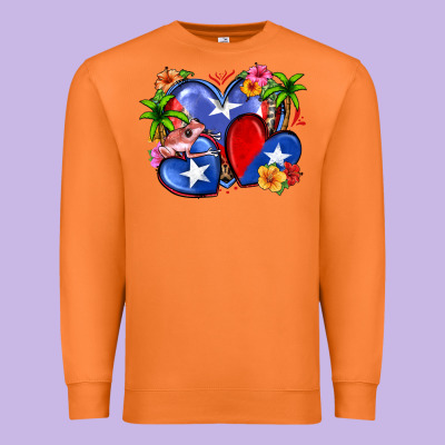 Puerto Rico Hearts Premium Sweatshirt Designed By Zillion Design Studio