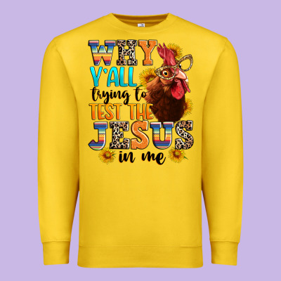 Premium Sweatshirt why yall trying to test the jesus in me