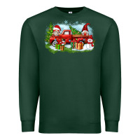 Sports Green Christmas gnomes truck Premium Sweatshirt - Zillion Design Studio