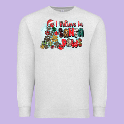 I Believe In Santa Paws Premium Sweatshirt Designed By Zillion Design Studio
