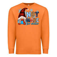 Carrot not made for winter with gnome Premium Sweatshirt - Zillion Design Studio