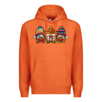 Carrot mexican gnomes Premium Hoodie - JahusDesignShop