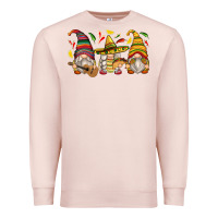 Pale Pink mexican gnomes Premium Sweatshirt - Zillion Design Studio